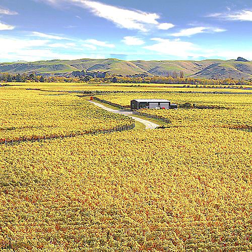 Your Hawkes Bay Wine Tour includes World the famous Gimblett Gravels.